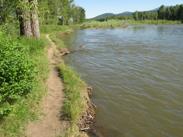 picture showing Inaccessible social trails follow the riverbank on either side of the river overlook.  Note that this photo was taken during high water.  Later in the summer the riverbank would be a 5-foot or more drop-off.